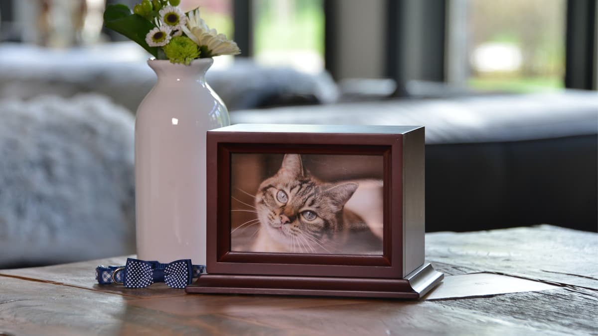 Trusted Journey Pet Memorial Services - Main photo