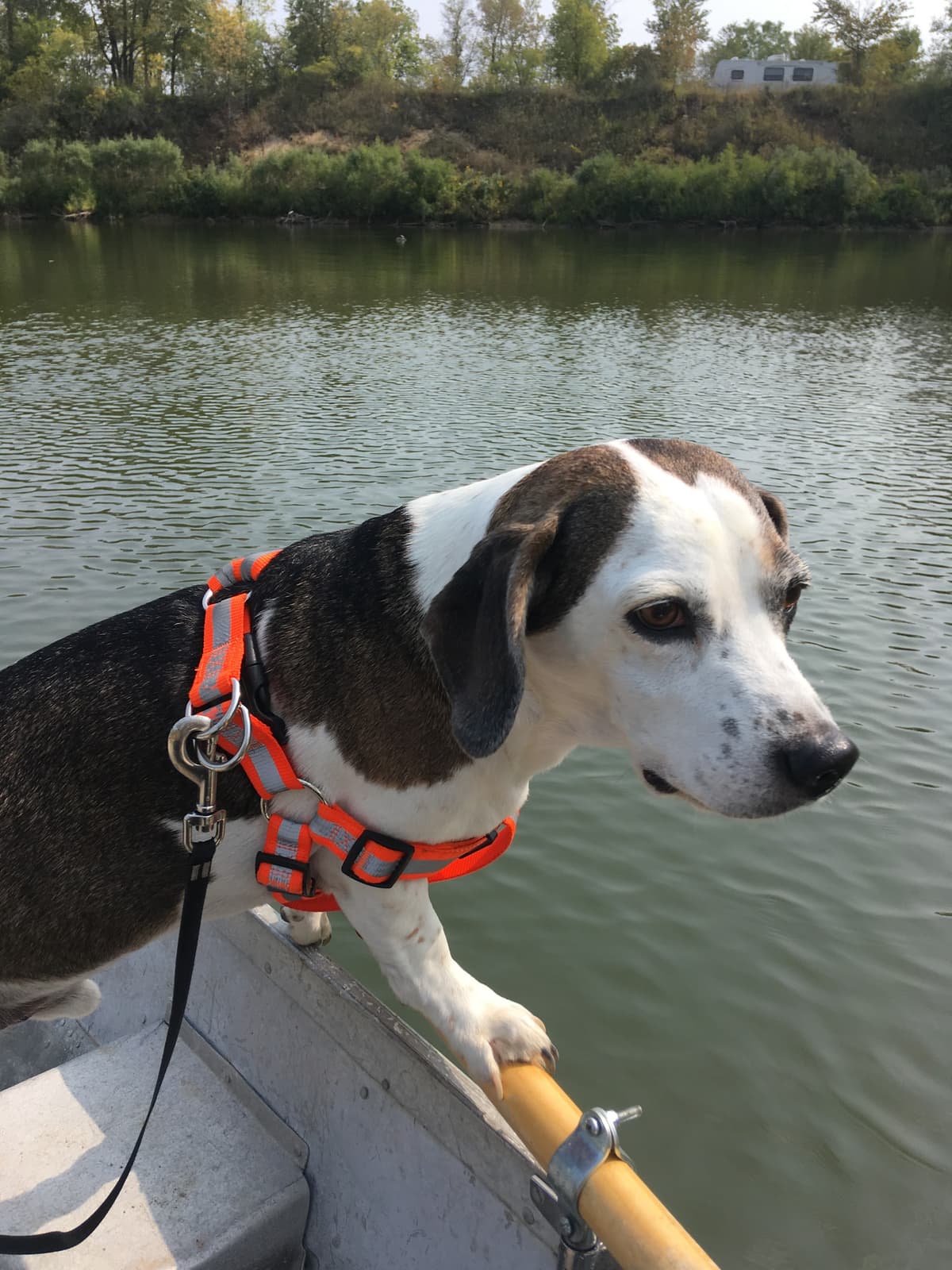 Western Illinois Pet Cremation - Main photo