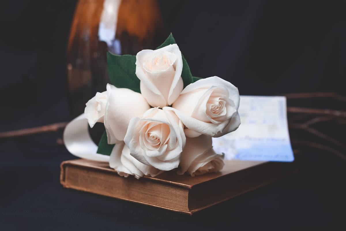 White Rose Aqua Cremation, Inc. - Main photo