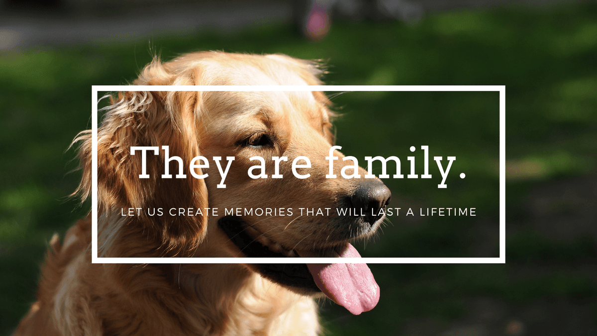 Yellowstone Pet Cremations - Main photo